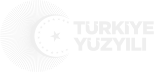 Türkiye Yüzyılı